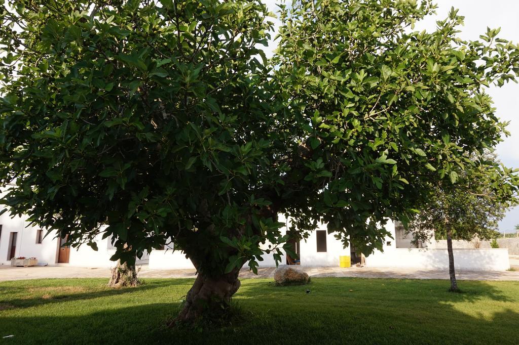 Masseria Pappo Vila Copertino Exterior foto